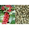 Arabica Roasted Green Coffee Beans with Best Price