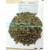 VIETNAM ARABICA COFFEE BEANS SCREEN 16 ORIGINAL