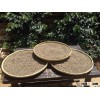 100% Pure Wild Kopi Luwak Arabica Coffee Green Bean from Java Preanger Indonesia - 40 kg