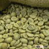 High Quality Robusta & Arabica Coffee Beans Best Price