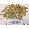 ARABICA COFFEE BEANS SCR 16 (skype: davis.thong, mobi: +84 986 778 999)