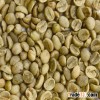 Washed Arabica Coffee Beans S13