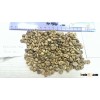 VIETNAM ROBUSTA GREEN BEAN (skype: visimex08)