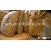 Brazilian Green Coffee Beans - Arabica & Robusta
