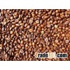 Roasted Liberica coffee Beans