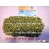 Vietnam Robusta Coffee Bean