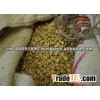 Vietnamese Green Coffee Beans