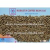 Vietnam Robusta Coffee Bean S16