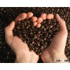 Coffee bean Best Price