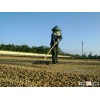 ROBUSTA GREEN COFFEE BEANS SCREEN 18/16/13
