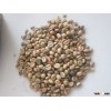 Premium Robusta coffee (skype:visimex02)