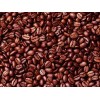 Robusta Coffee Beans