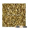 High quality Green coffee beans
