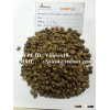 VIETNAM ROBUSTA COFFEE BEANS SCREEN 18/16/13 ORIGINAL