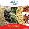 ROBUSTA COFFEE BEANS SCR 13 UNWASHED (Skype: davis.thong, mobi: +84 986 778 999)