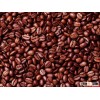 COFFE BEANS VIETNAM
