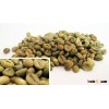 GREEN COFFEE GRAIN ROBUSTA TYPE
