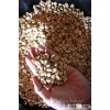Coffee beans from Cote d'Ivoire