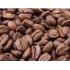 Coffee,cacao, rubber tree, cashew nut, palm tree
