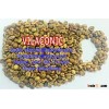 VILACONIC VIETNAM COFFEE BEAN