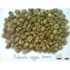 Vietnamese Robusta coffee beans