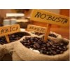 HOT- Cheap Price for robusta coffee beans