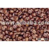 Vietnam Robusta Coffee, Grade 2, Scr.13
