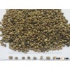 Specifications Of Robusta Coffee Beans/ Arabica Coffee Beans