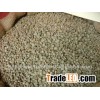 ROBUSTA COFFEE BEANS S 18 S16 BEST PRICE CROP 2016 (Skype: hanfimex10)