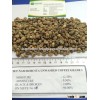 COFFEE ARABICA COFFEE/ROBUSTA COFFEE GRADE A FROM VIETNAM BEST PRICE 2014 - 2015
