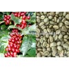 DRIED COFFEE BEAN/ CAFE BEAN/ ROBUSTA & ARABICA