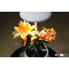 Automatic led light flower plant pot indoor