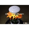 green farm grow box
