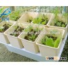 Planting Pots Dutch Buckets for Greenhouse