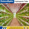 Agriculture Product Manufacture Greenhouse Planting System