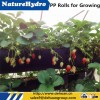 Water Saving PP Rolls Hydroponic Greenhouse Planting Equipment