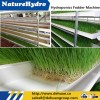green fodder hydroponic system