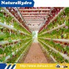 Hydroponic Agriculture PVC Pipes Irrigation Systems