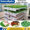 Hydroponic Fodder Machine Growing Grass for Livestocks