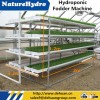 Commercial Hydroponic Sheep Hay Feeder Growing Trays