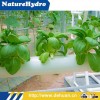 Commercial Greenhouse Hydroponics pvc Planting Pipe