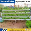 Aquaponic System Smart Agriculture Greenhouse Hydroponic Planting Pipe