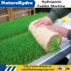 Hydroponic Growing Systems Sheep Hay Feeder Machine