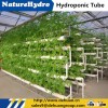 Hydroponic Agriculture Cheap Useful PVC Hydroponic Vegatable Planting Pipe