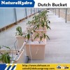 Eco-friendly low price dutch bucket hydroponics system