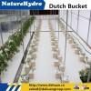 2016 new product dutch bucket hydroponics system