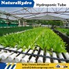 Food grade PVC pipe hydroponic system