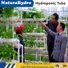 Vegetable Garden Growing Tube Hydroponic Planting Pipe