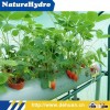 Greenhouse Commercial Hydroponic Vertical Planting Tube