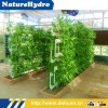 PVC Pipe Greenhouse Hydroponic Irrigation Planting Pipe Made in China